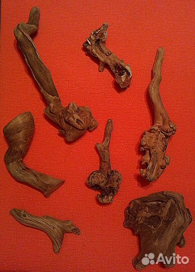 Коряжки дрифтвуд морские