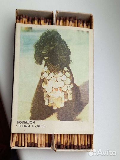 Сувенирные спички СССР Большой черный пудель