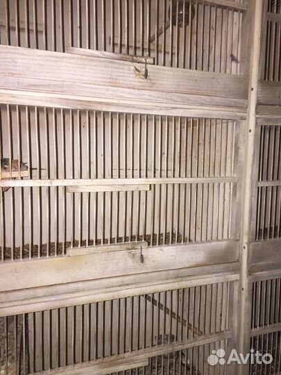 Клетка шкаф для птиц,канареек