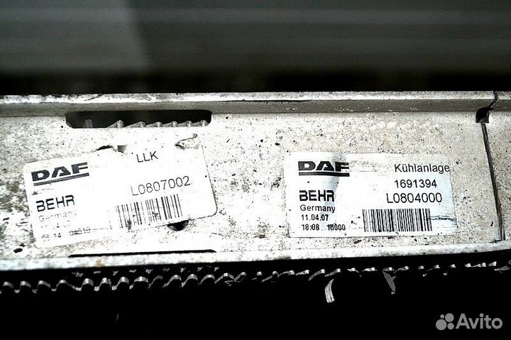 Интеркулер DAF XF105 (01.05)