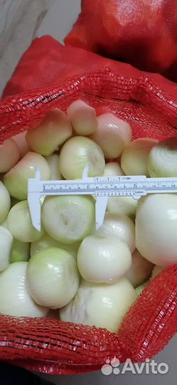 Лук очищенный сетка свежий и замороженный