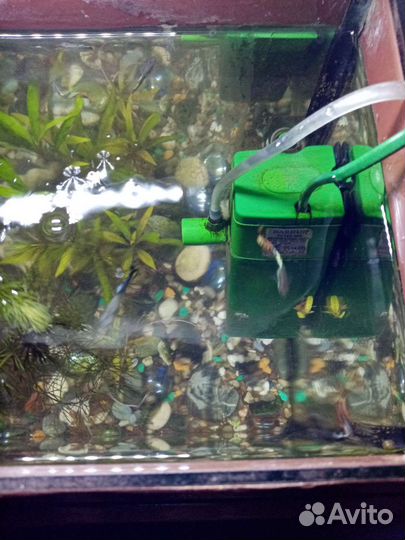 Аквариум