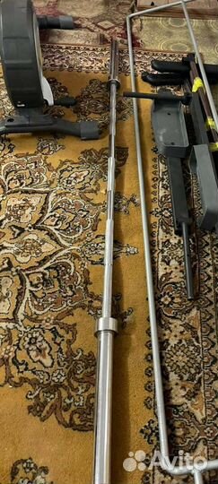 Гриф олимпийский