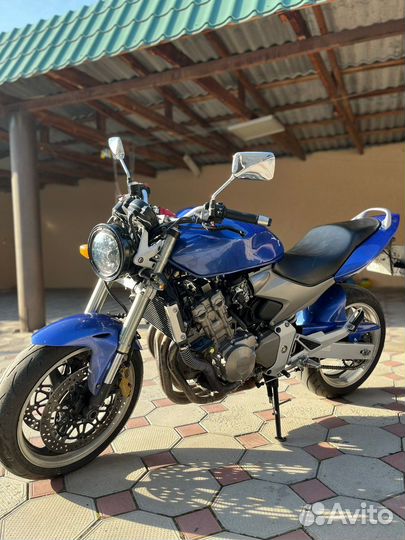 Honda cb600 hornet