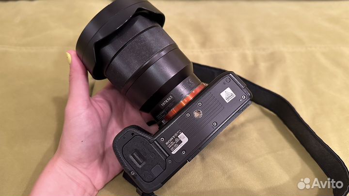 Sony a7 ii + sony FE 16-35/4