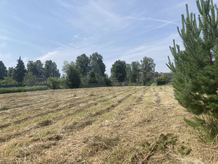 Участок 15 сот. (ИЖС)