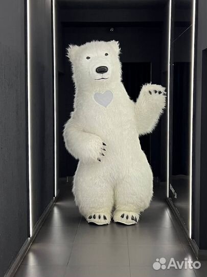 Белый мишка поздравление/Чебурашка