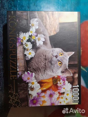 Скейтборд Termit