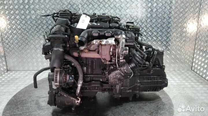 Двигатель Ford 1.6 hhda