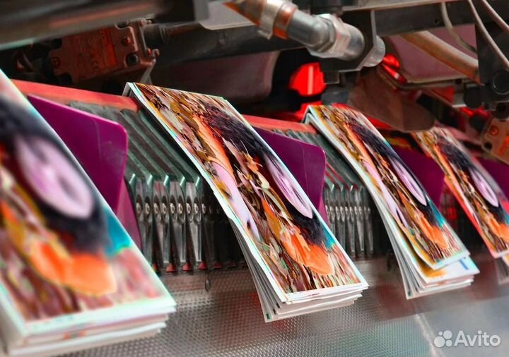 Фотосалон/Типография с нуля