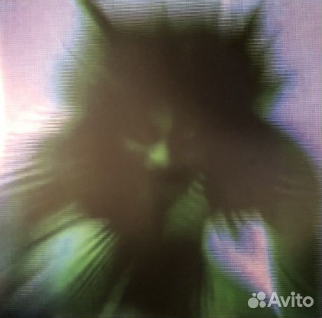 Yves tumor - Safe In The Hands Of Love (2LP)