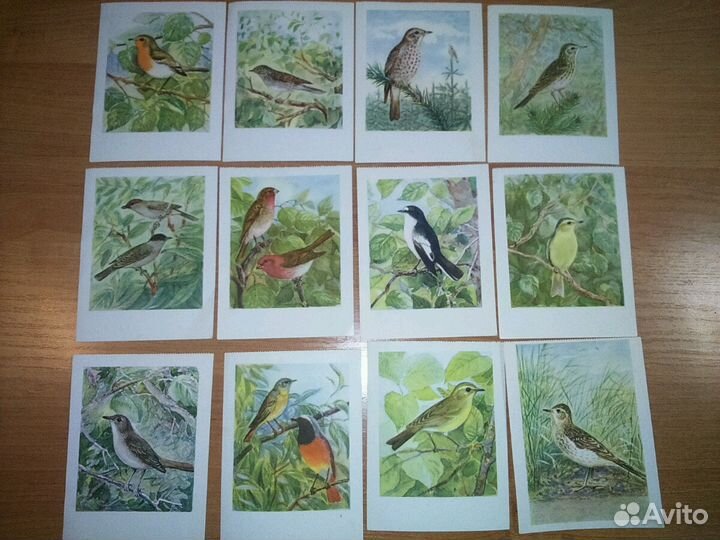 Открытки СССР, 1955 г