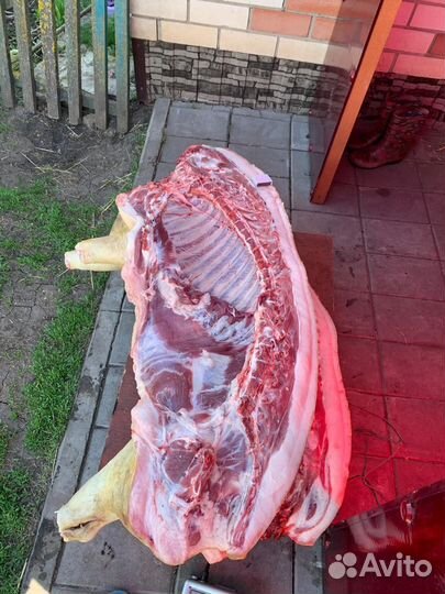 Мясо свинина домашняя