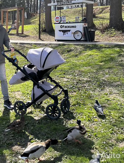 Коляска 2в1 anex e-type