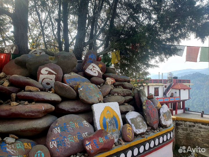 Пособие по онкологии