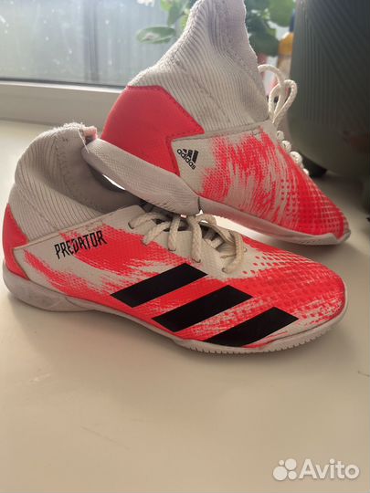 Футзалки adidas predator