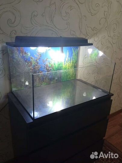 Террариум для рептилий