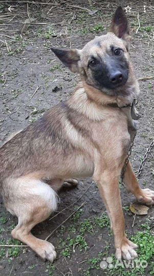 Мальчик из,черного, приюта