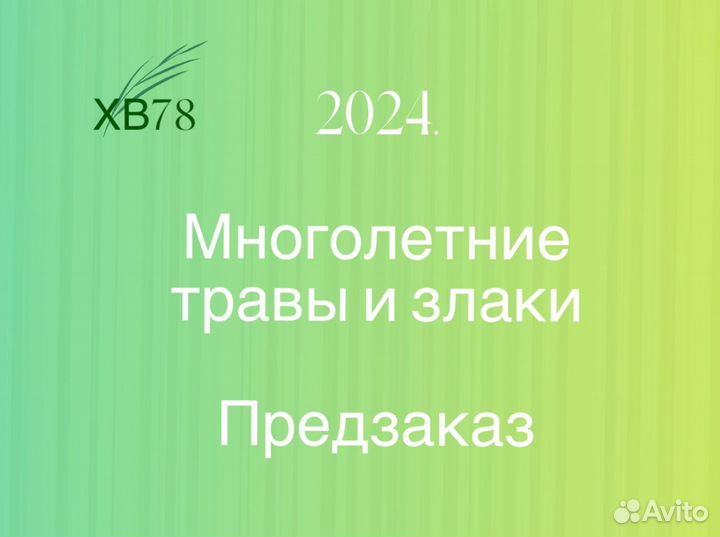 Злаки, травы, цветы многолетние, весна 2024