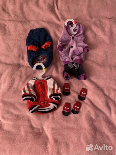 Одежда для котёнка