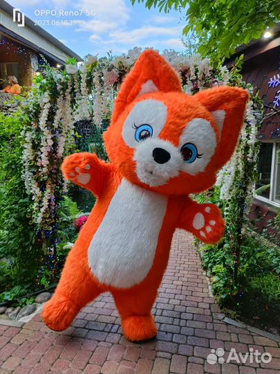 Поздравления от Лисички Белка Праздники мирприятии