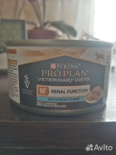 Корм для кошек