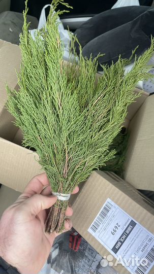 Можжевельник, скрутки, запарки