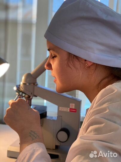 Репетитор по фармакологии и микробиологии