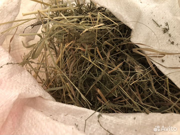 Сено,опилки,поилка,снэки все за 200