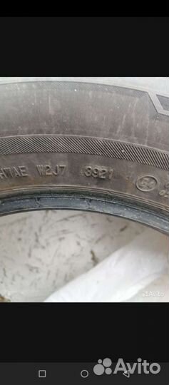 Barum Polaris 5 195/65 R15