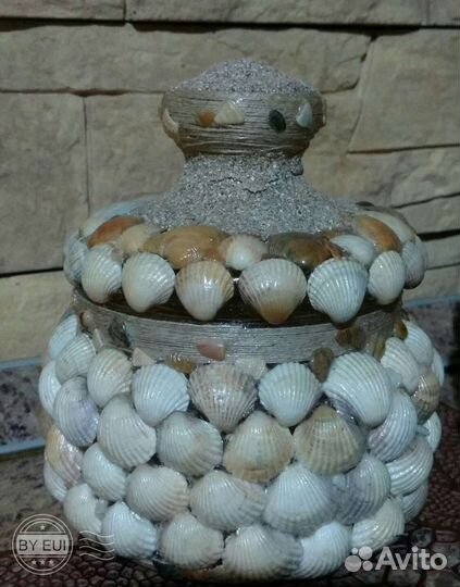 Морские ракушки