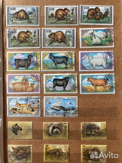 Альбом с эксклюзивной коллекцией марок (ссср, Комб