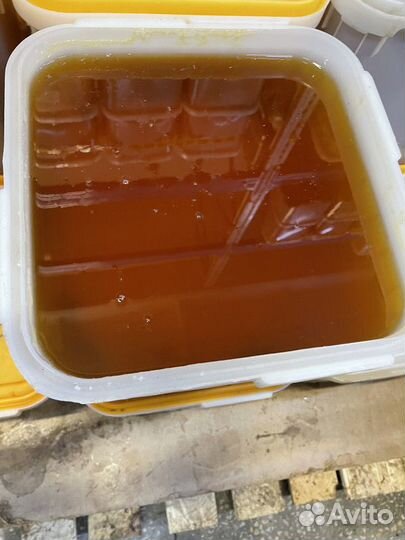 Свежий мёд цветочный опт