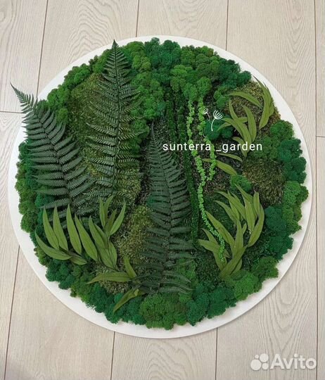 Круги со мхом с подсветкой. Логотипы из мха