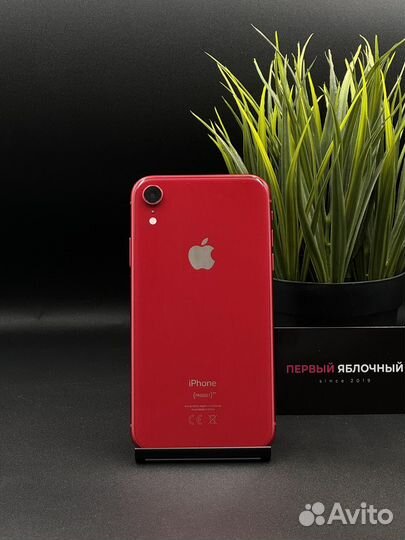 iPhone Xr, 64 ГБ