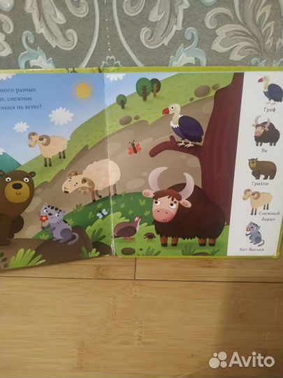 Книга найди и покажи малыш