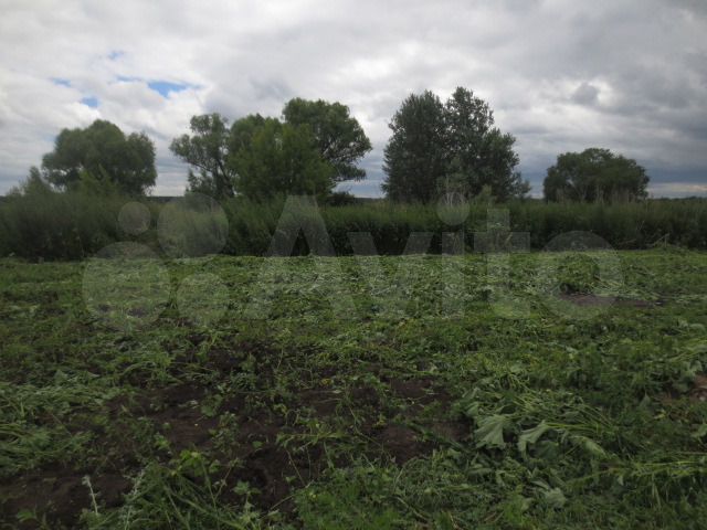 Дом 50 м² на участке 40 сот.