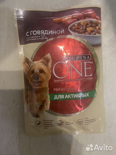 Влажный корм для собак