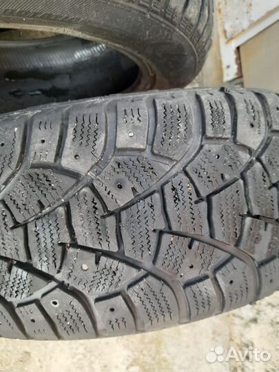 Matador MP 51 Sibir 2 205/55 R16