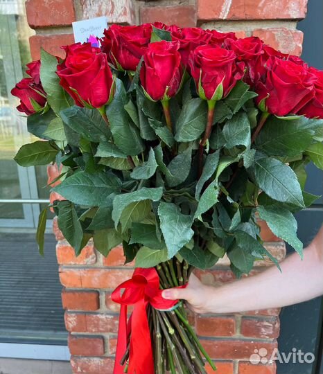 51 эквадорская роза премиум 60см
