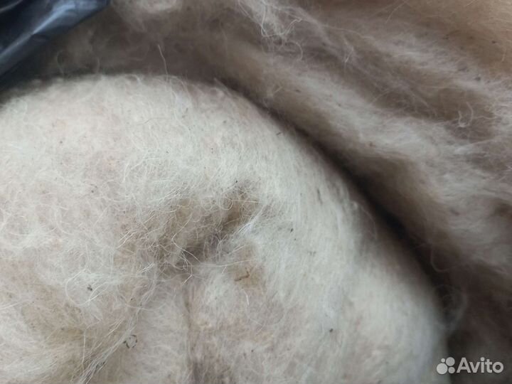 Шерсть овечья, чесаная немытая белая, серая