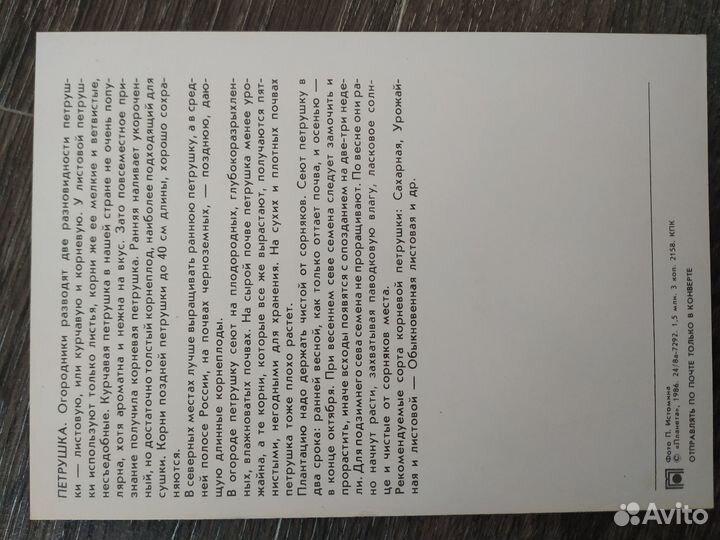 Книги и открытки СССР