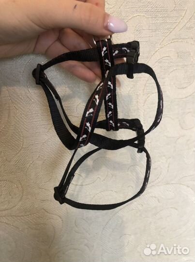 Ошейник для кошек