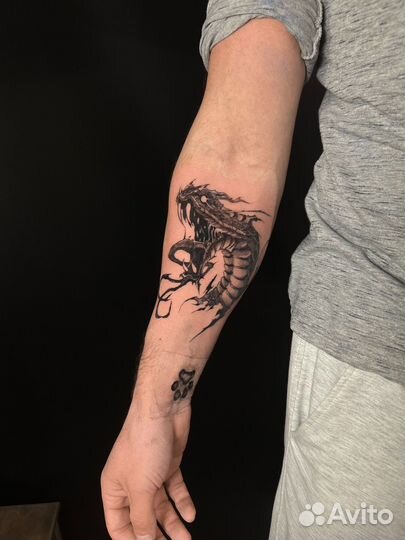 Модель на тату бесплатно