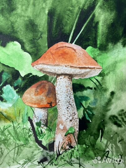 Картина акварелью «Подосиновик»