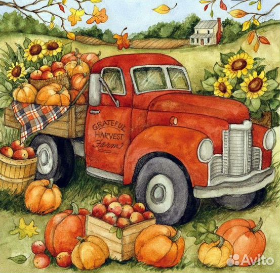 Тыква оптом