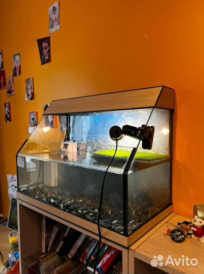 Аквариум для черепах 70л открытый новый