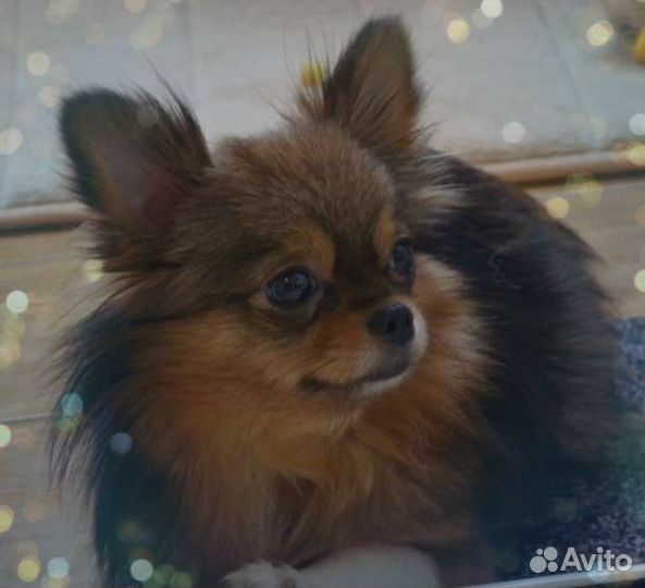 Мини кнопки