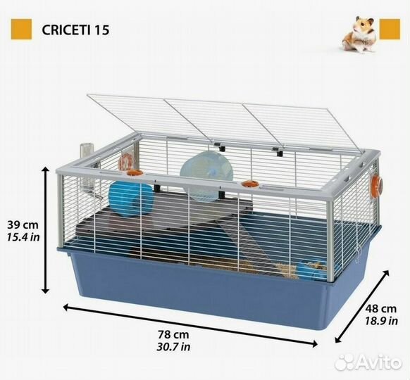 Джунгарский хомяк с клеткой бесплатно