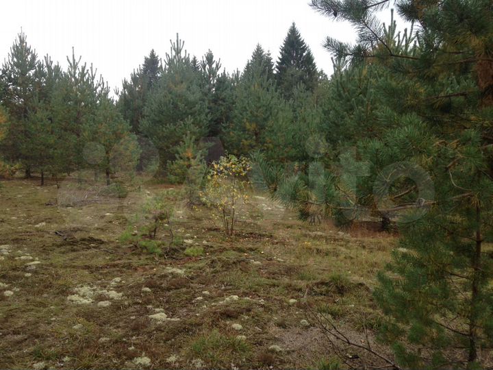 Участок 60 сот. (ИЖС)